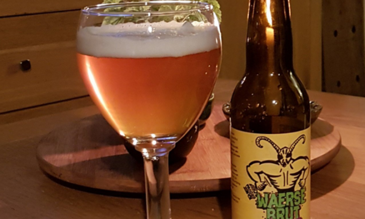 Waerse Brut logo